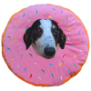 Dottie